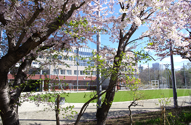 市立札幌大通高等学校 札幌市立高校ポータルサイト